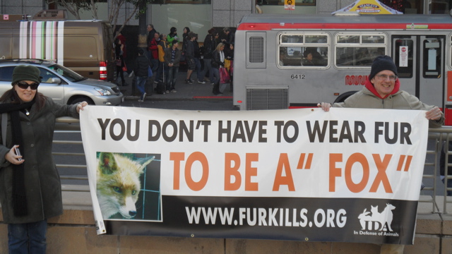 fur_free_friday_11-26-10_-_42.jpg 