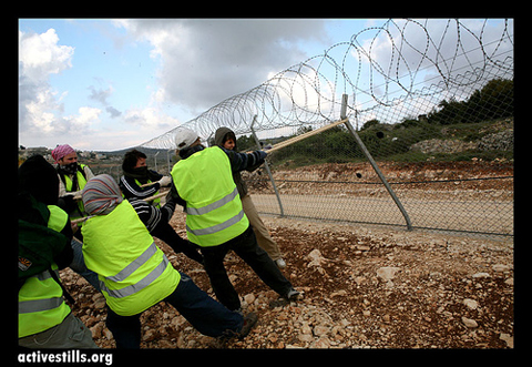 activists_pull_down_settlement_fence_in_bet_ommar__palestine.jpg 