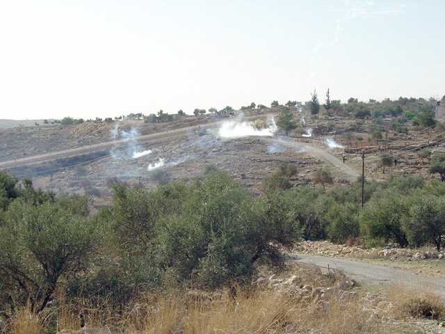 bilin_12-17-10_-_29.jpg 