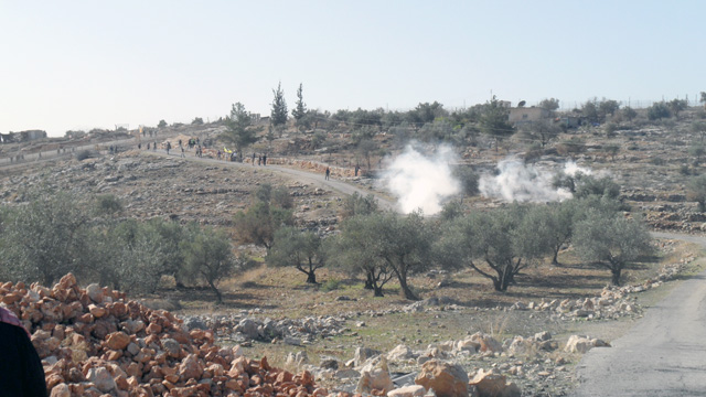 bilin_12-17-10_-_42.jpg 