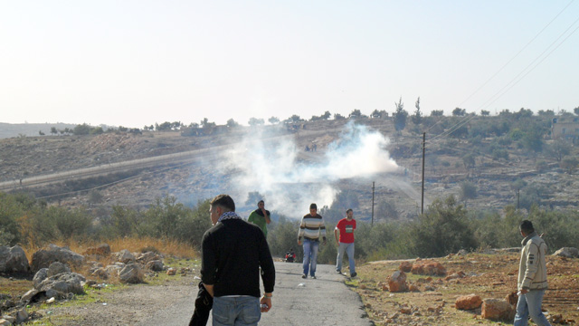 bilin_12-17-10_-_67.jpg 