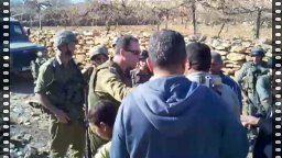 Beit Ommar Villagers Denied Access to Their Farmland, West Bank, Palestine, 12/25/10: video & photos