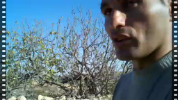 The Face of the Israeli Occupation in Beit Ommar, West Bank, Palestine, 12/25/10: video
