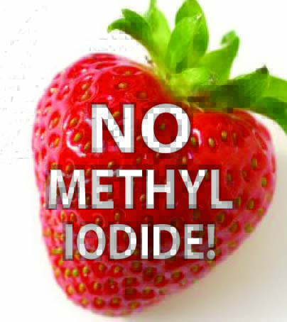 no-methyl-iodide.jpg 