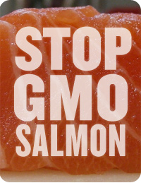 stop_gmo_salmon.jpeg 