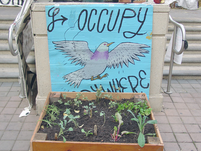 occupyoakland_day012_102111085410.jpg 