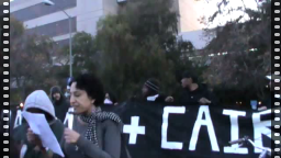 Occupy Oakland Egypt Solidarity March, 11/12/11: Video