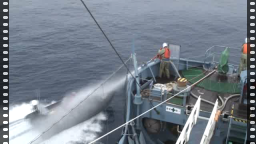 Sea Shepherd activists from the Bob Barker attempt to disable whaling harpoon ship