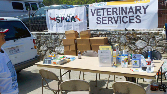 spca-veterinary-services_4-17-12.jpg 