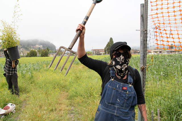 120422_occupythefarm_091.jpg 