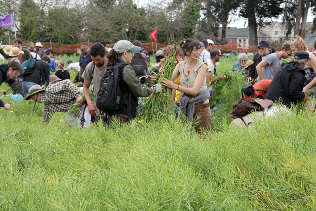 120422_occupythefarm_117.jpg 