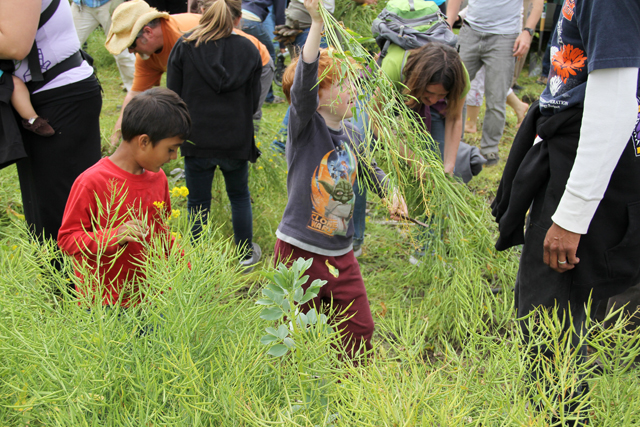 120422_occupythefarm_131.jpg 