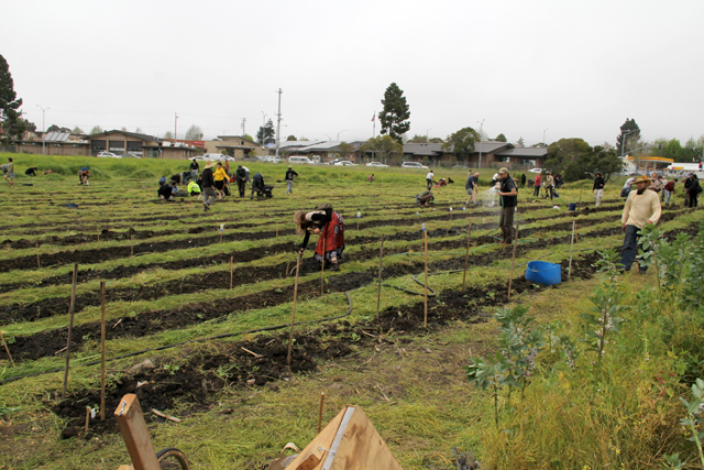 120422_occupythefarm_232.jpg 