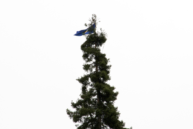 120422_occupythefarm_270.jpg 