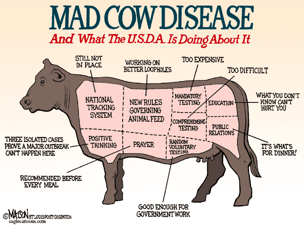 mad_cow_disease___usda.gif 