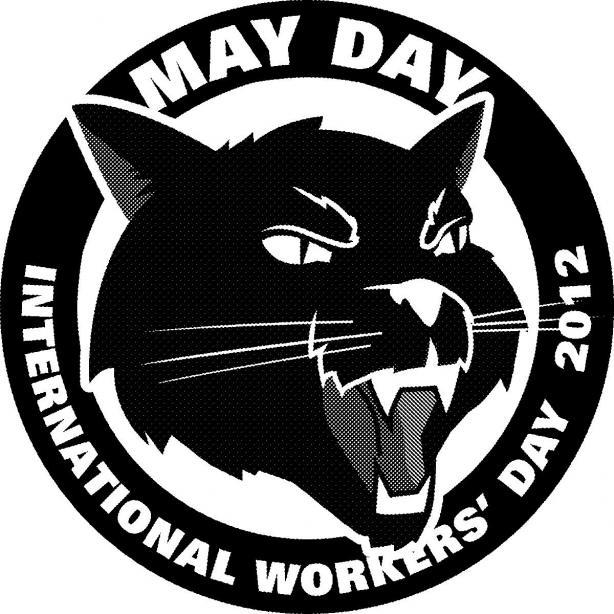 mayday-cat-2012.jpg 