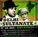 delhi-sultanate.jpg 