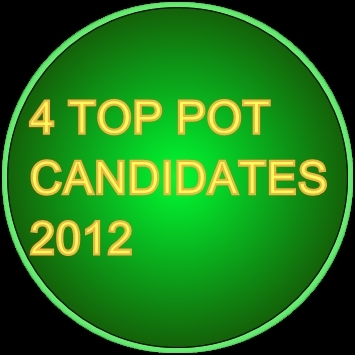 4_top_pot_2.jpg 