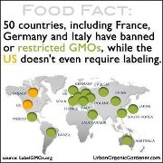 foodfact.jpg 