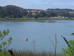 240px-lake_merced_at_sfsu-2.jpg 