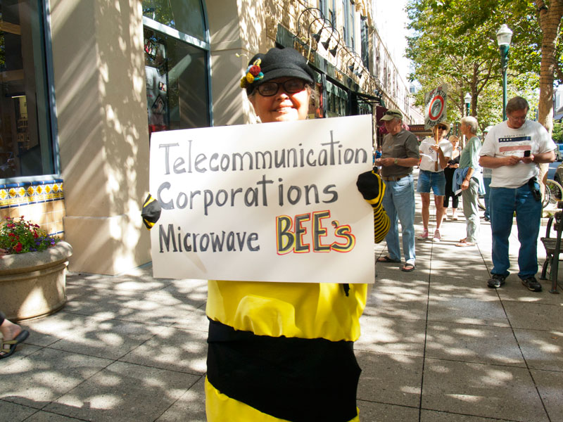 telecommunication-corporations-microwave-bees_2_7-21-12.jpg 