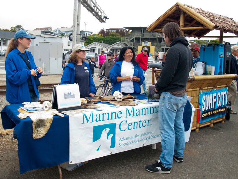 marine-mammal-center_7-23-12.jpg 
