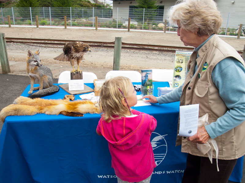 watsonville-wetlands-watch_7-23-12.jpg 