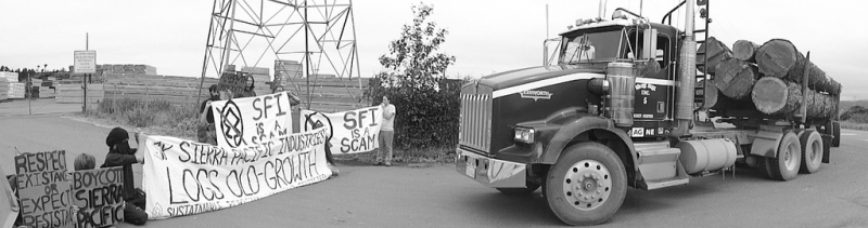 800_earth_first_blocks_sierra_pacific_logging_truck.jpg 