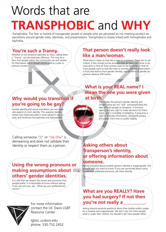 800_words_that_are_transphobic_and_why.jpg original image ( 914x1280)