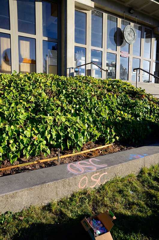 chalkupy-occupy-santa-cruz-august-8-2012-13.jpg 