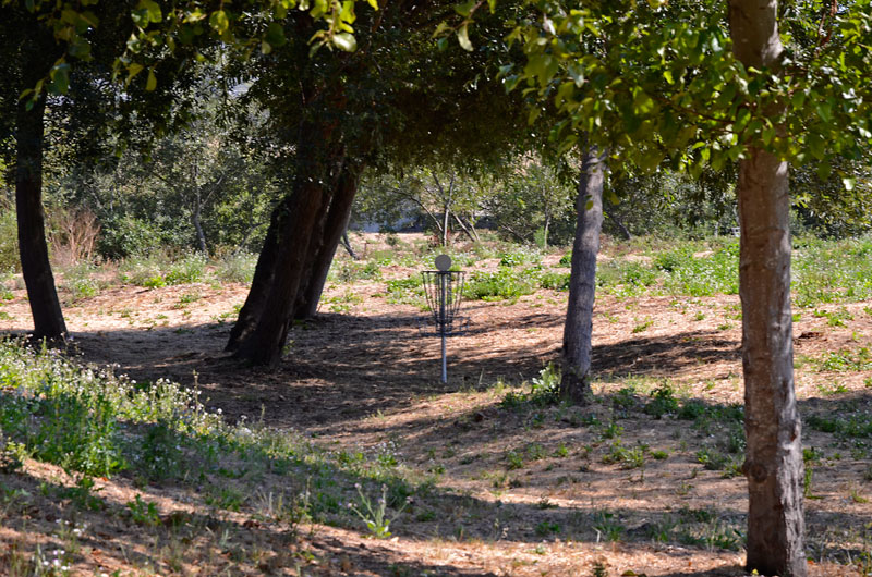 san-lorenzo-river-santa-cruz-august-2012-17.jpg 