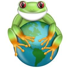 taft_tree_frog.jpg 