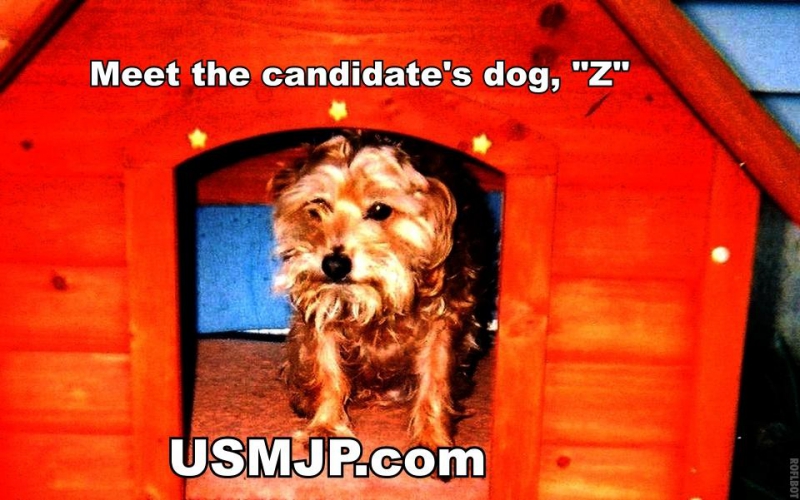 800_cris_ericsons_dog_named_z_1.jpg original image ( 960x601)