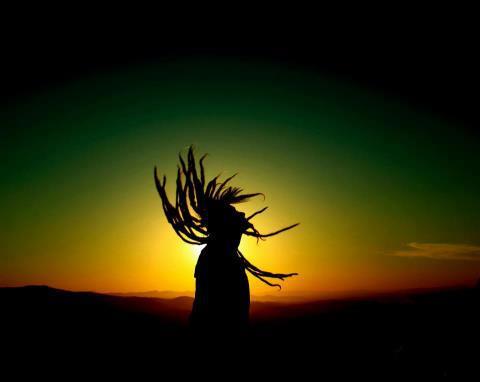 zion_roots_at_king_island_resort.jpg 