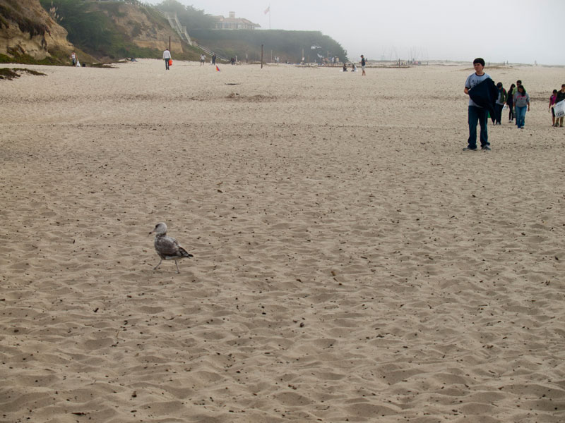 coastal-cleanup_6_9-15-12.jpg 