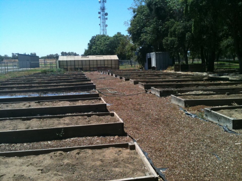800_taft_montessori_garden.jpg original image ( 960x720)