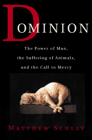 lamb.jpg 
