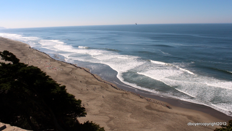 800_img_7045.jpg original image ( 1200x677)