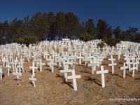 200_gopr7040.jpg original image ( 1200x677)