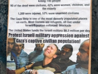 200_gaza-rally-uc-santa-cruz-november-27-2012-8.jpg original image ( 530x800)