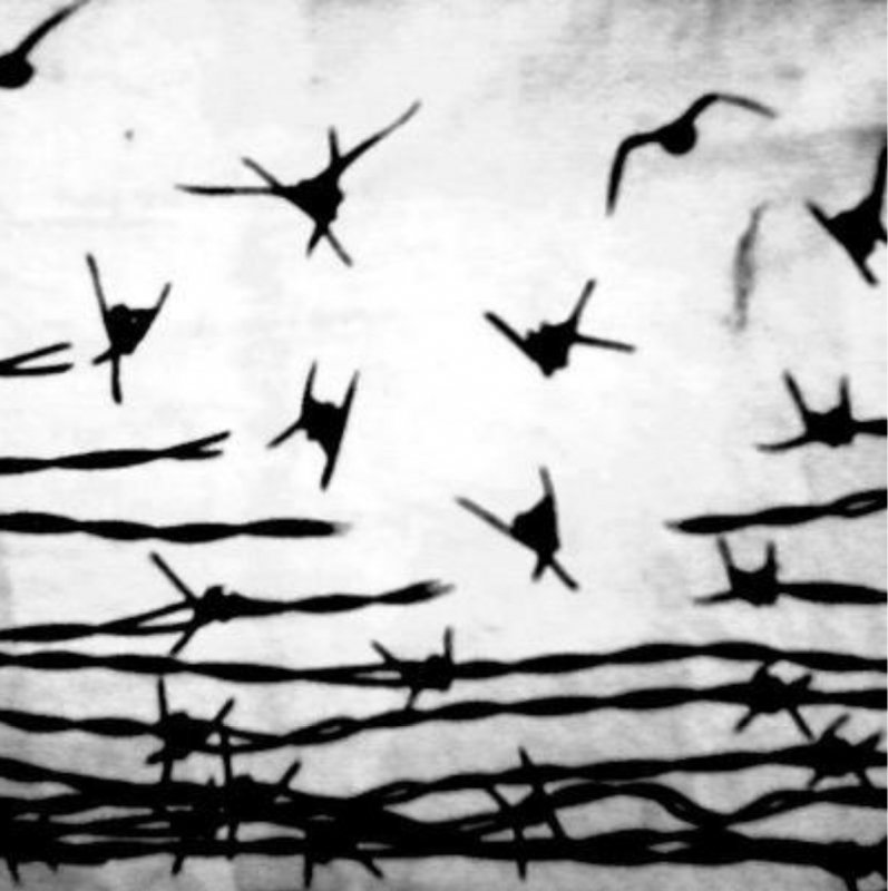 800_transfiguration_barbed_wire.jpg original image ( 1250x1254)