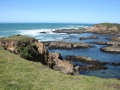 120_640_img_8709.jpg original image ( 640x426)