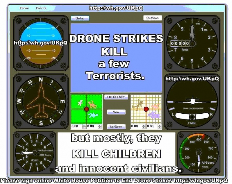 800_drone_strikes_kill_poster_1.jpg original image ( 902x714)