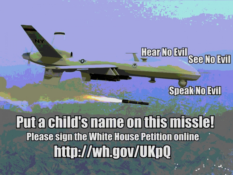 800_drone_child.jpg original image ( 960x720)