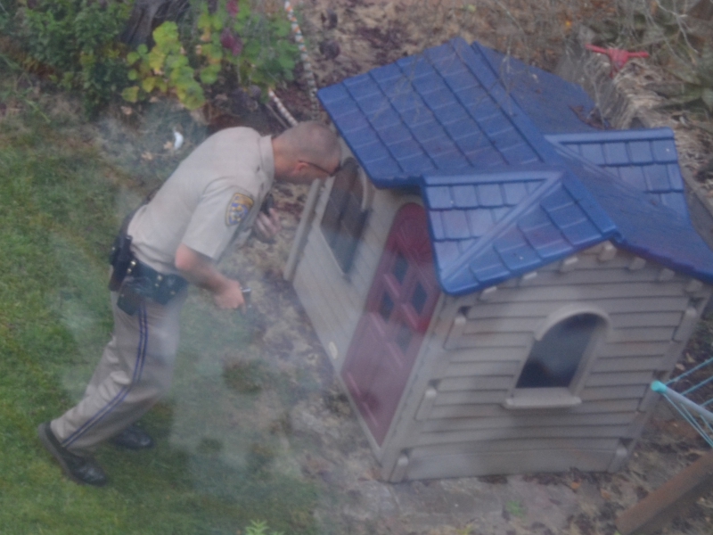 800_cop_backyard_play_house.jpg original image ( 1600x1200)