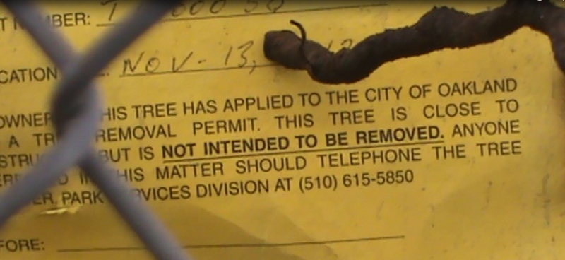 800_not_to_be_removed.jpg original image ( 838x386)