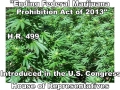 120_h.r._499_marijuana_poster.jpg original image ( 1059x777)