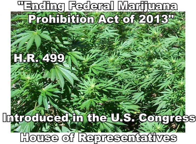 800_h.r._499_marijuana_poster.jpg original image ( 1059x777)