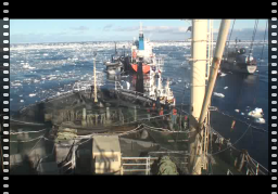 Video: Nisshin Maru whaling factory ship bearing down on Sea Shepherd Sam Simon