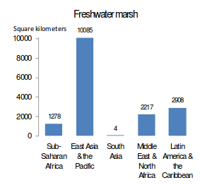 20130301_lost_freshwater_wetlands_by_type_and_region.png 